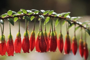 深圳福田区3私人快速借钱网，轻松解决资金难题