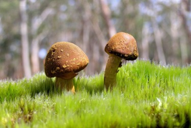 深圳福田区3私人老板放款：轻松融资的秘密通道